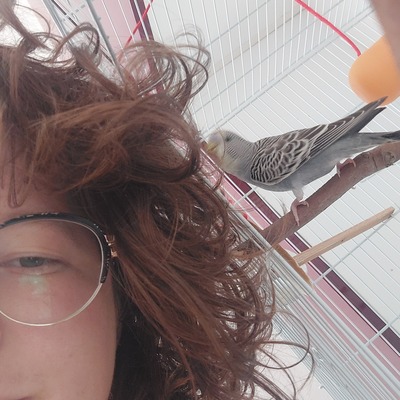 avatar for capetaun@livellosegreto.it