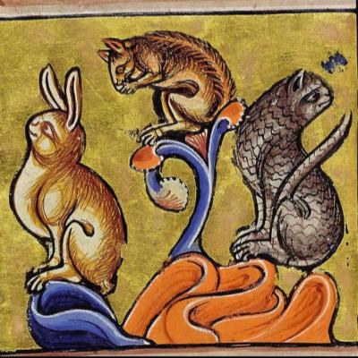 avatar for voler@livellosegreto.it