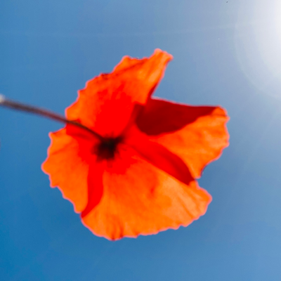 avatar for Gabit@livellosegreto.it