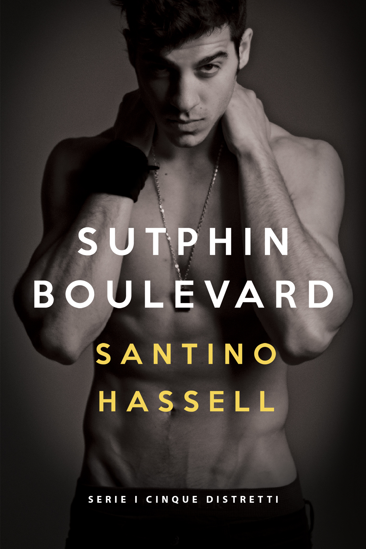 Sutphin Boulevard (EBook, Italiano language, 2017, Dreamspinner Press)