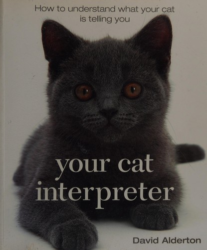 Your cat interpreter (2006, Cico)