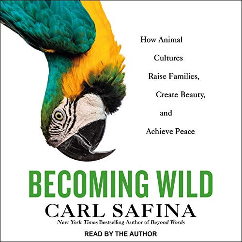 Carl Safina: Becoming Wild (AudiobookFormat, 2021, Tantor and Blackstone Publishing)