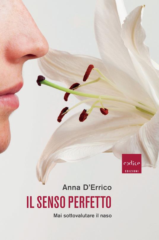 Il senso perfetto (Paperback, Italiano language, 2019, Codice)