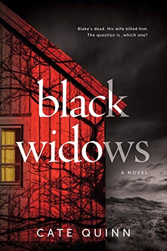 Black Widows (Hardcover, 2021, Sourcebooks Landmark)