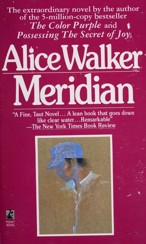 Meridian (Paperback, 1986, Pocket bks)