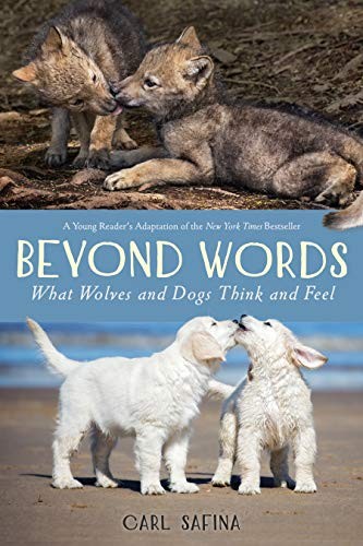 Carl Safina: Beyond Words (Hardcover, 2020, Roaring Brook Press)
