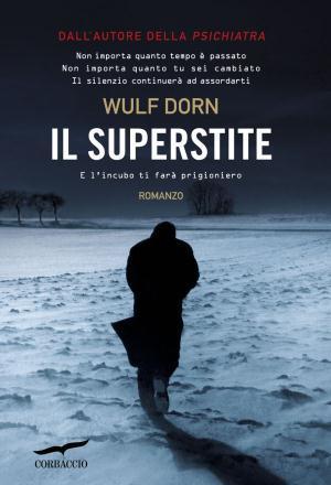 Wulf Dorn: Il superstite