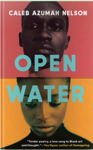 Open Water (2021, Penguin Books, Limited)