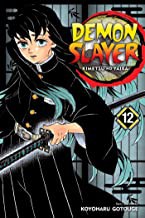 Koyoharu Gotōge: Demon Slayer (2020, Viz Media)