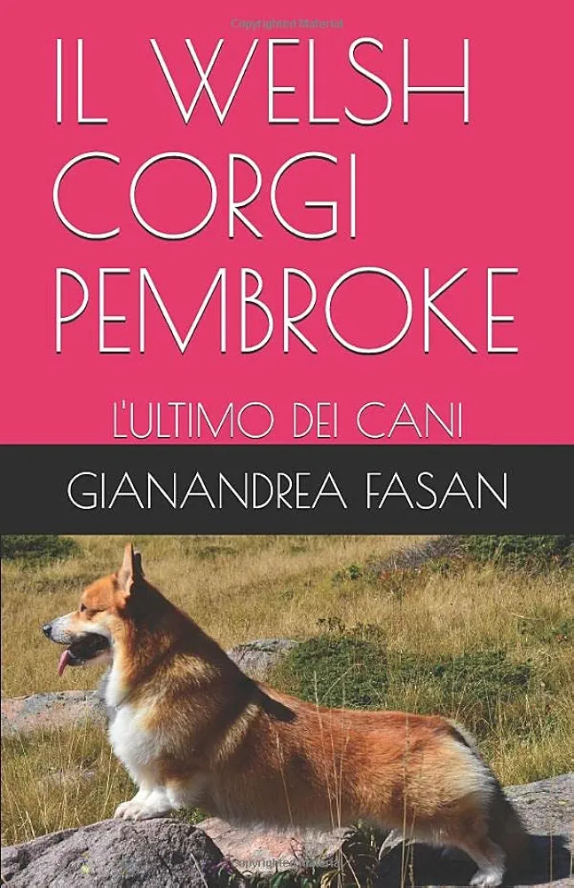 Welsh Corgi Pembroke (Paperback, Italian language, 2019, Independently Published)