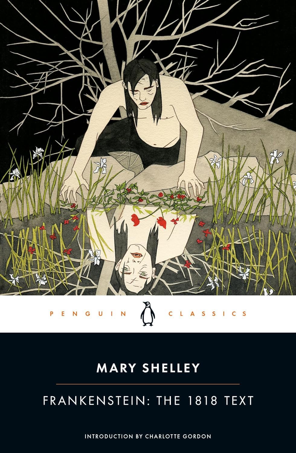 Mary Shelley: Frankenstein (Hardcover, 2018, Penguin Books)