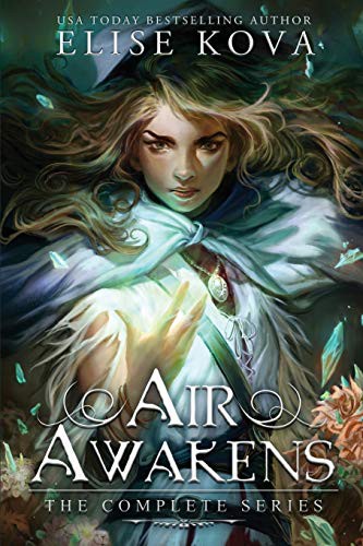 Air Awakens (Paperback, 2020, Silver Wing Press)