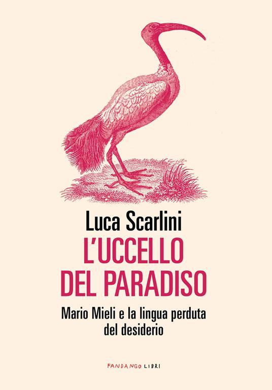 L'uccello del paradiso (Paperback, Italiano language, 2020, Fandango Libri)