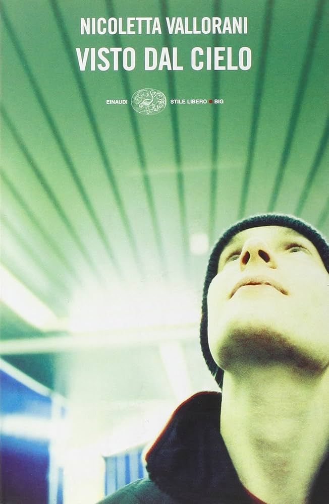 Nicoletta Vallorani: Visto dal cielo (Paperback, Italiano language, 2004, Einaudi)