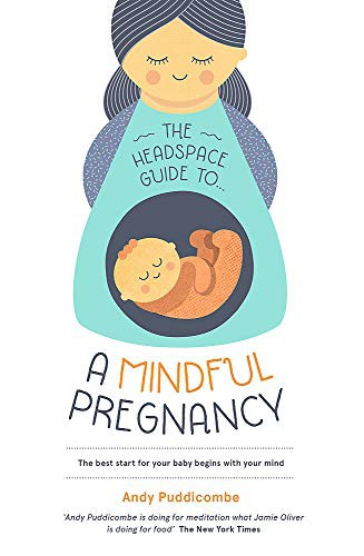 The Headspace Guide To...a Mindful Pregnancy (Paperback, 2015, Hodder & Stoughton, Coronet)