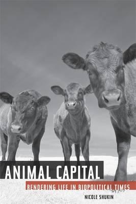 Nicole Shukin: Animal capital (2009, University of Minnesota Press)