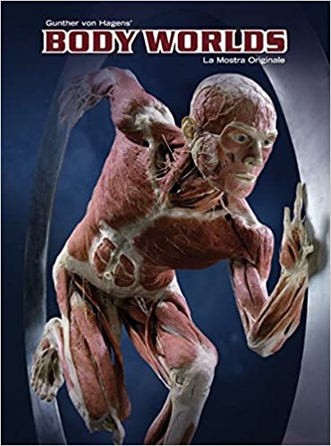 Gunther Von Hagens, Angelina Whalley: Body Worlds. La mostra originale (Paperback, Italiano language, 2012, Arts & Sciences)