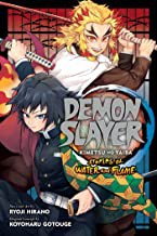 Koyoharu Gotōge, Ryoji Hirano: Demon Slayer (2022, Viz Media)