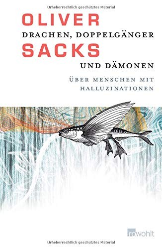 Drachen, Doppelgänger und Dämonen (Hardcover, 2013, Rowohlt Verlag GmbH)