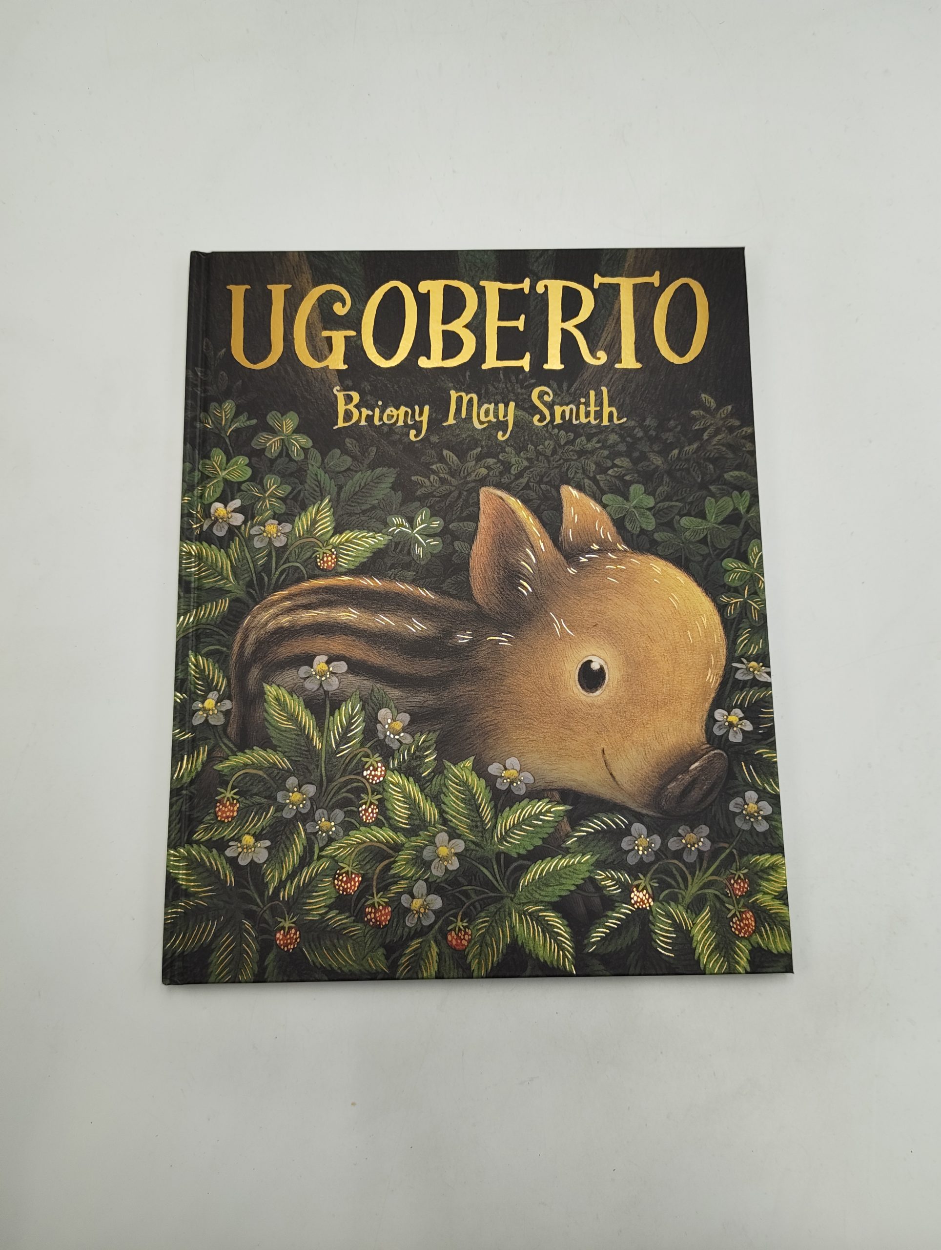 Briony May Smith: Ugoberto (Italiano language, Emme Edizioni)