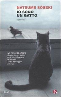 Io sono un gatto (Paperback, Italiano language, BEAT)