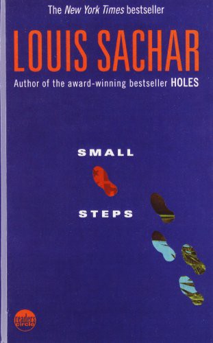Small Steps (Hardcover, 2008, Publisher)