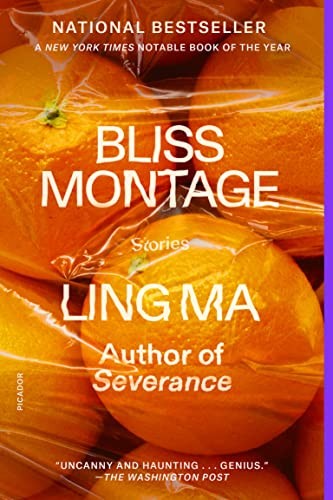 Bliss Montage (Paperback, 2023, Picador)