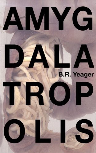 B R Yeager, Edia Connole: Amygdalatropolis (Paperback, Schism[2] Press, Createspace Independent Publishing Platform)