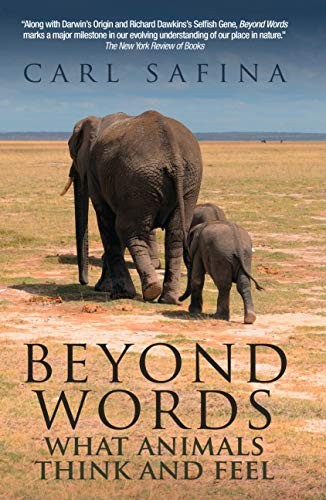 Carl Safina: Beyond Words (Hardcover, 2016, Souvenir Press)