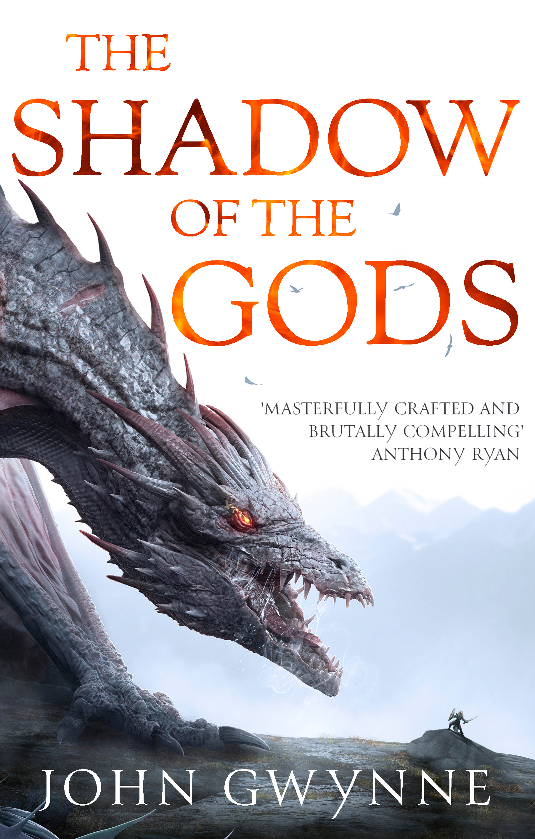 John Gwynne: The Shadow of the Gods (Paperback, 2021, Orbit)