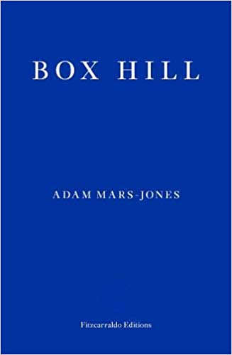 Box Hill (Paperback, 2020, Fitzarraldo Editions)