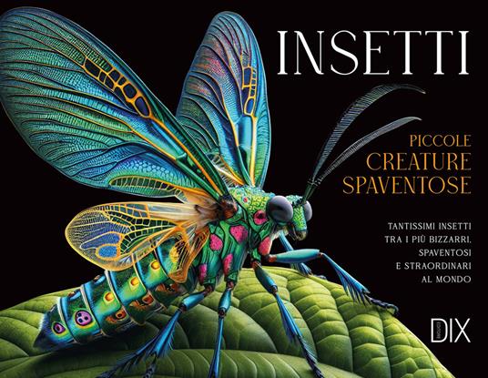 Susan Barraclough: Insetti: piccole creature spaventose (2012, DIX)