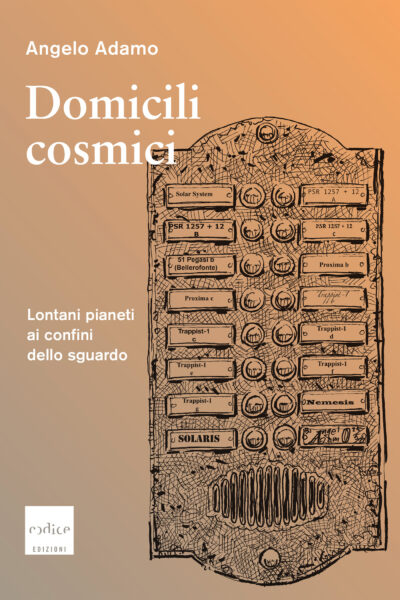 Domicili cosmici (Paperback, italiano language, Codice Edizioni)