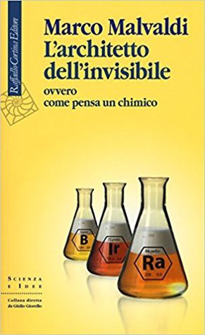 L'architetto dell'invisibile (Paperback, Italian language, 2017, Raffaello Cortina)