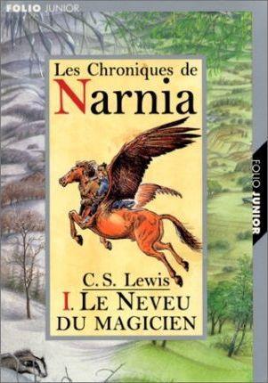 Le neveu du magicien (French language, 2001)