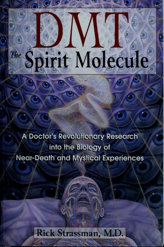 Rick Strassman: DMT: The Spirit Molecule (Paperback, Park Street Press)