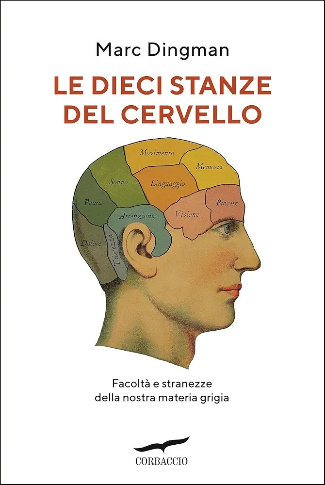 Marc Dingman: Le dieci stanze del cervello (Paperback, Italiano language, 2024, TEA)