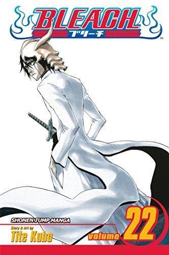 Bleach, Vol. 22 (2008, Viz Media)