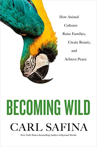 Carl Safina: Becoming Wild (Hardcover, 2020, Henry Holt and Co.)