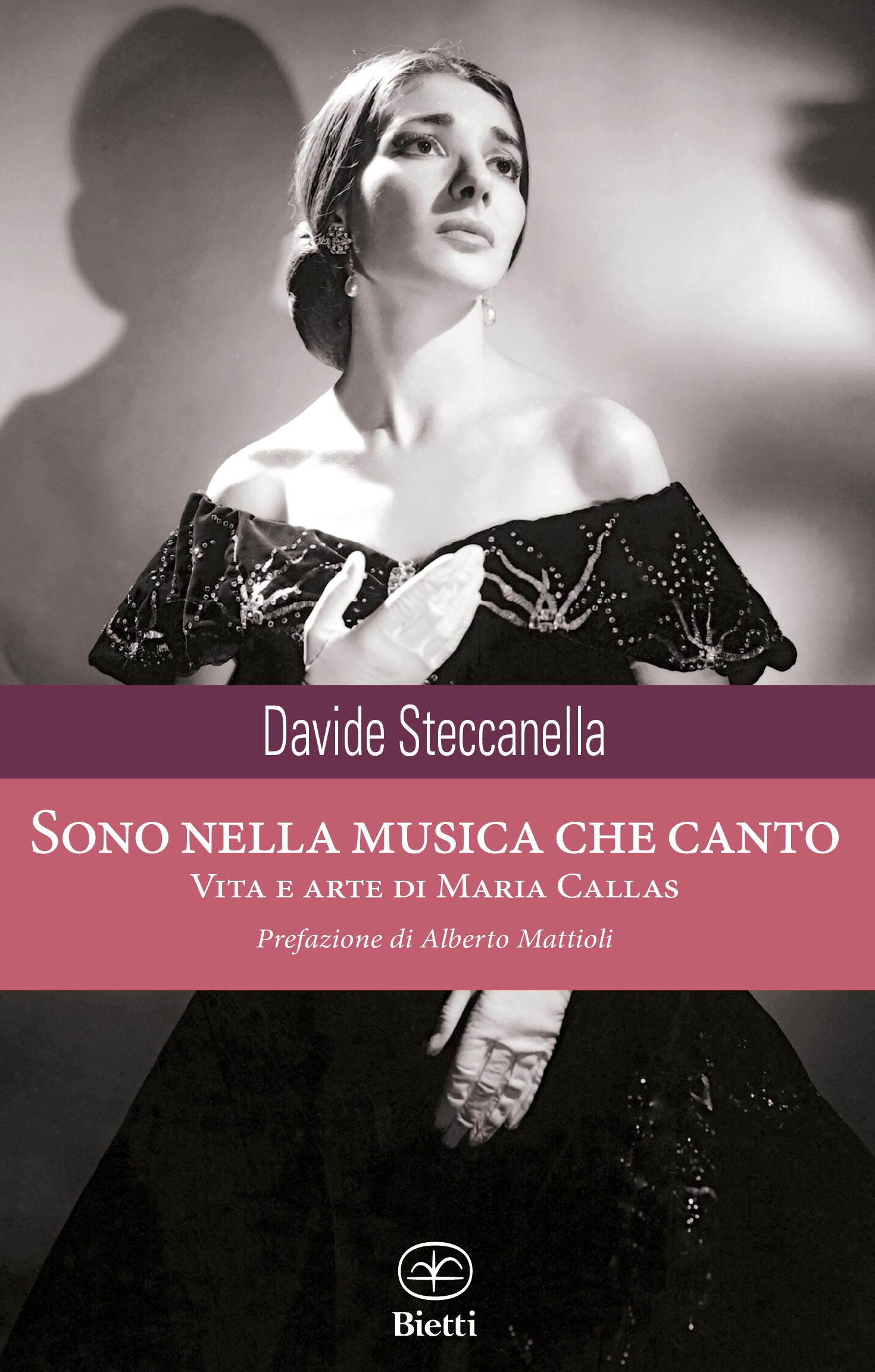 Davide Steccanella: Sono nella musica che canto (Paperback, Italiano language, 2023, Bietti)