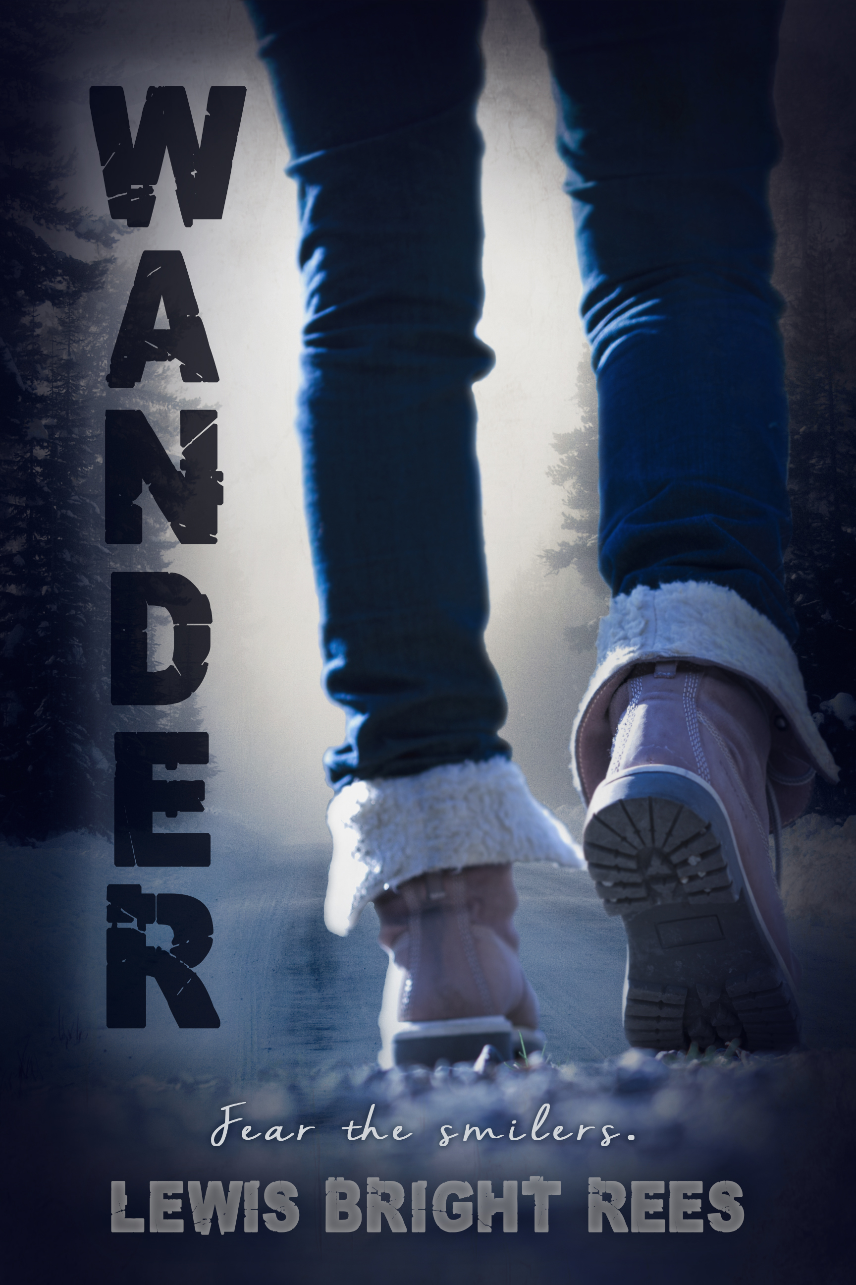 Wander (Paperback, 2017, CreateSpace Independent Publishing Platform)