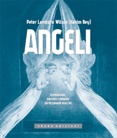 Peter Lamborn Wilson: Angeli (Paperback, Italiano language, 2017, Shake)