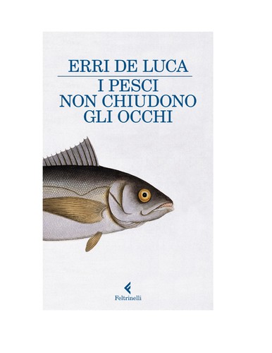 I pesci non chiudono gli occhi (Italian language, 2011, Feltrinelli)