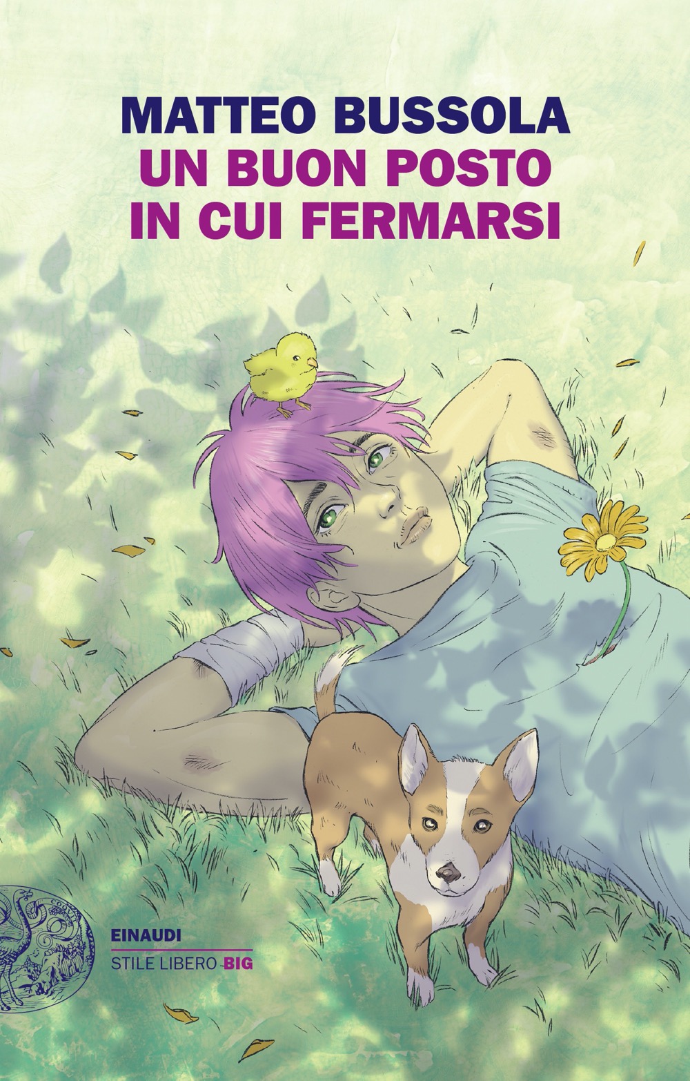 Un buon posto in cui fermarsi (Paperback, Italian language, Einaudi)