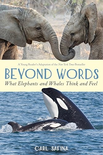 Carl Safina: Beyond Words (Paperback, 2021, Square Fish)