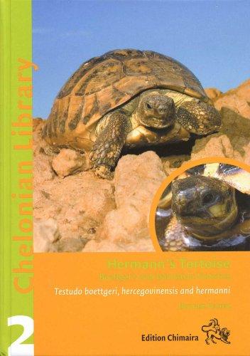 Hermann's Tortoise, Boettger's and Dalmatian Tortoises (Hardcover, 2006, Edition Chimaira)