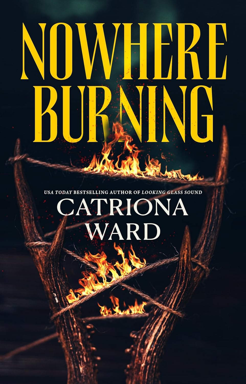 Catriona Ward: Nowhere Burning (Hardcover, Doherty Associates, LLC, Tom.)