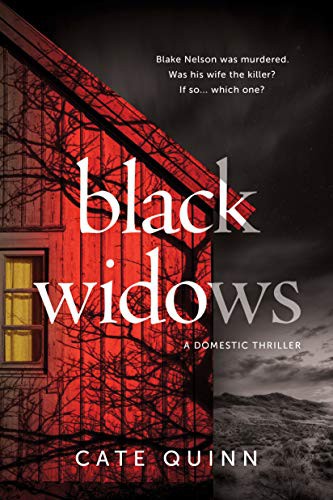 Black Widows (Paperback, 2021, Sourcebooks Landmark)