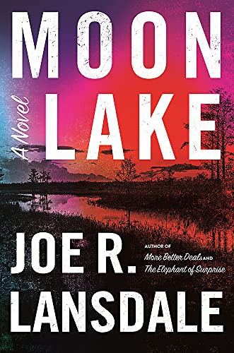 Moon Lake (Hardcover, 2021, Mulholland Books)