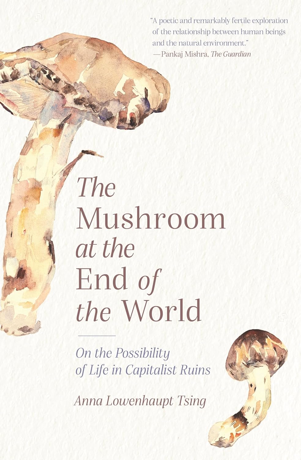 Anna Lowenhaupt Tsing: The mushroom at the end of the world (Paperback, 2021, Princeton University Press)